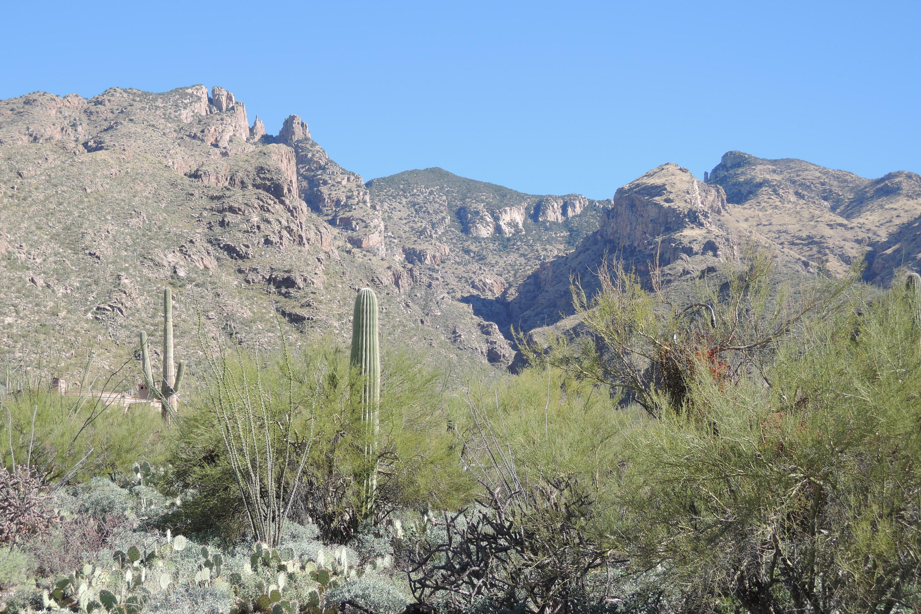 Canyons (The) - Land