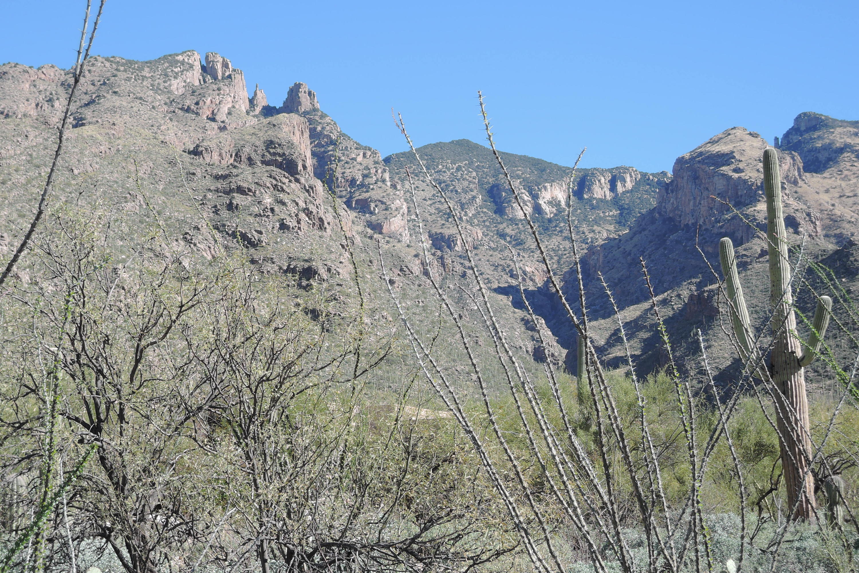 Canyons (The) - Land