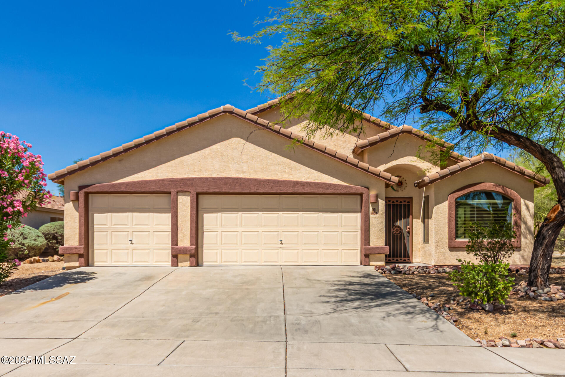 5852 W Mohave Bloom Drive