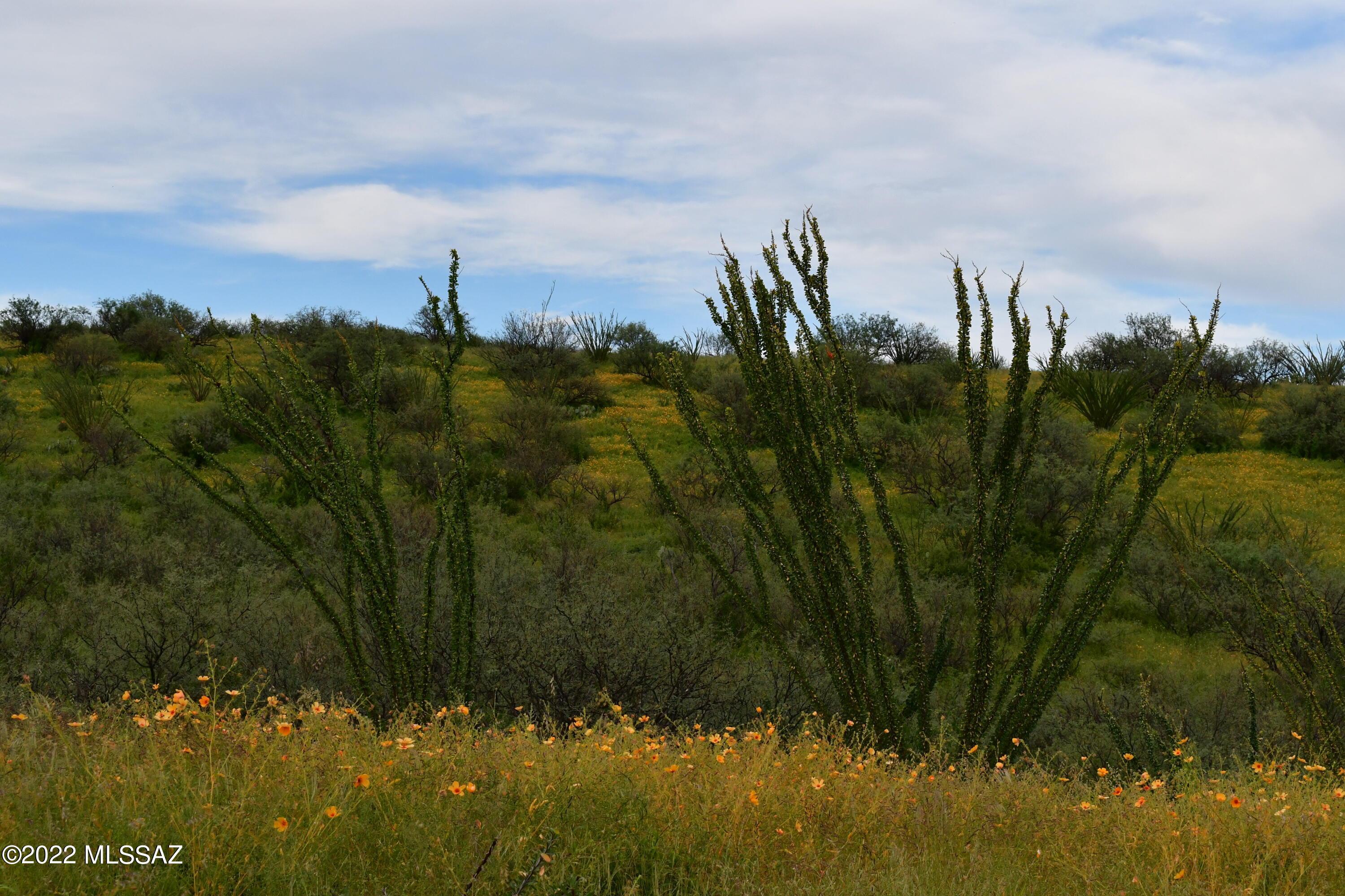 Salero Ranch - Land