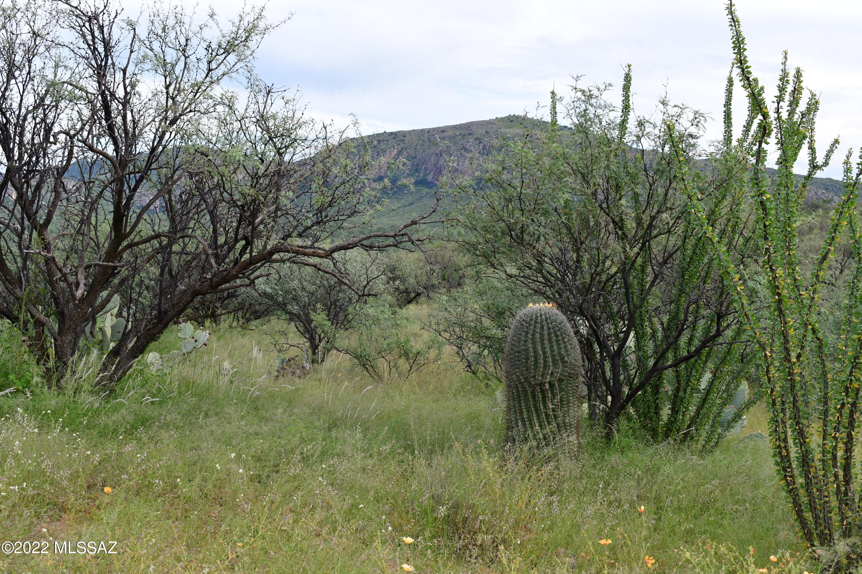 Salero Ranch - Land