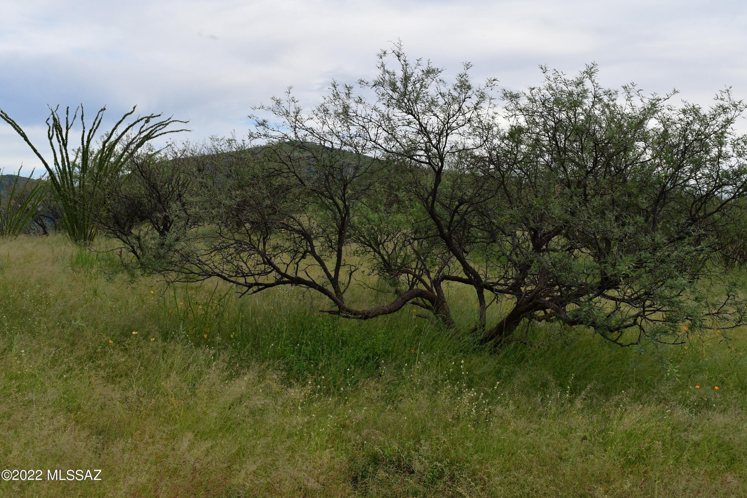 Salero Ranch - Land
