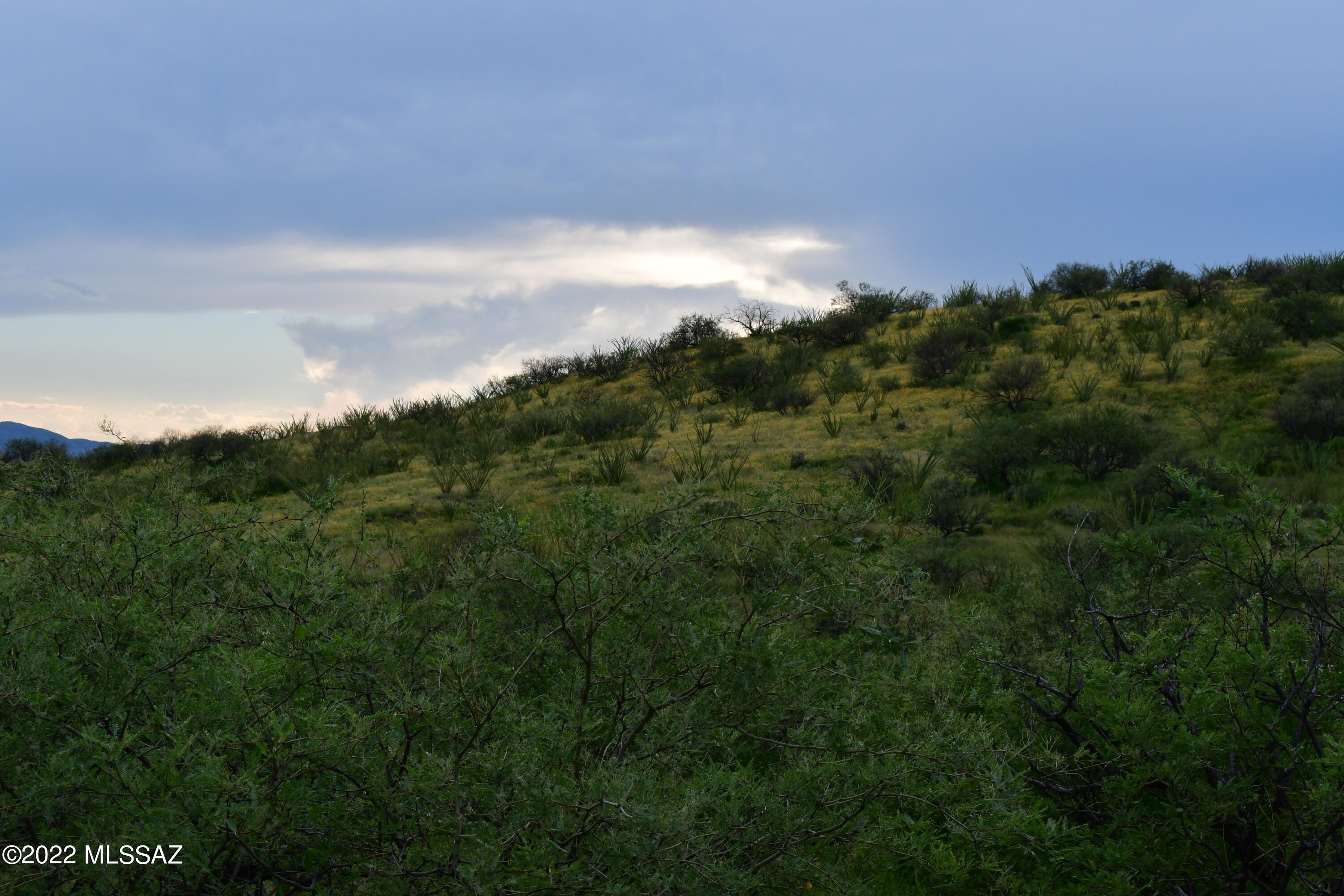 Salero Ranch - Land