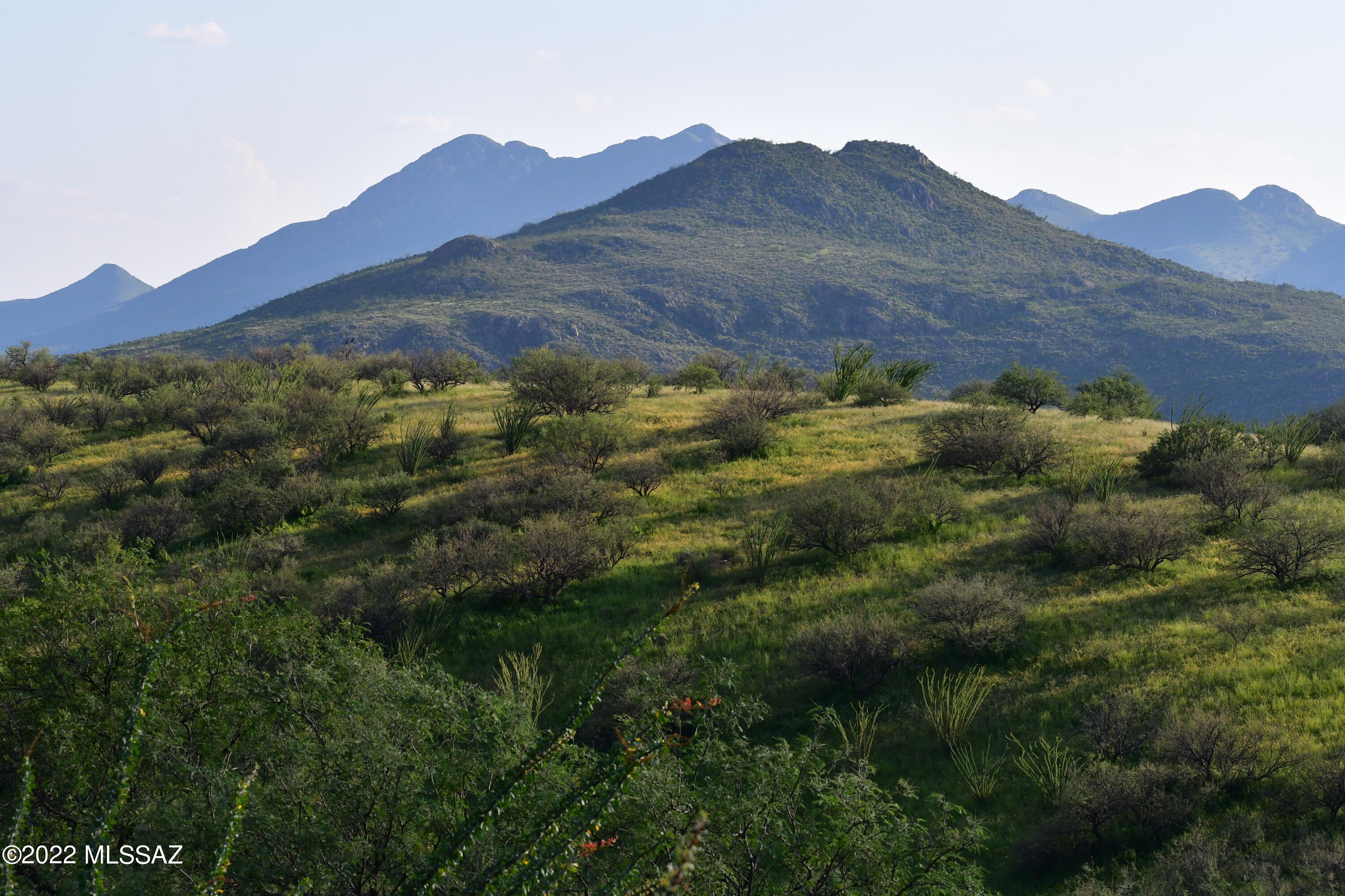 Salero Ranch - Land