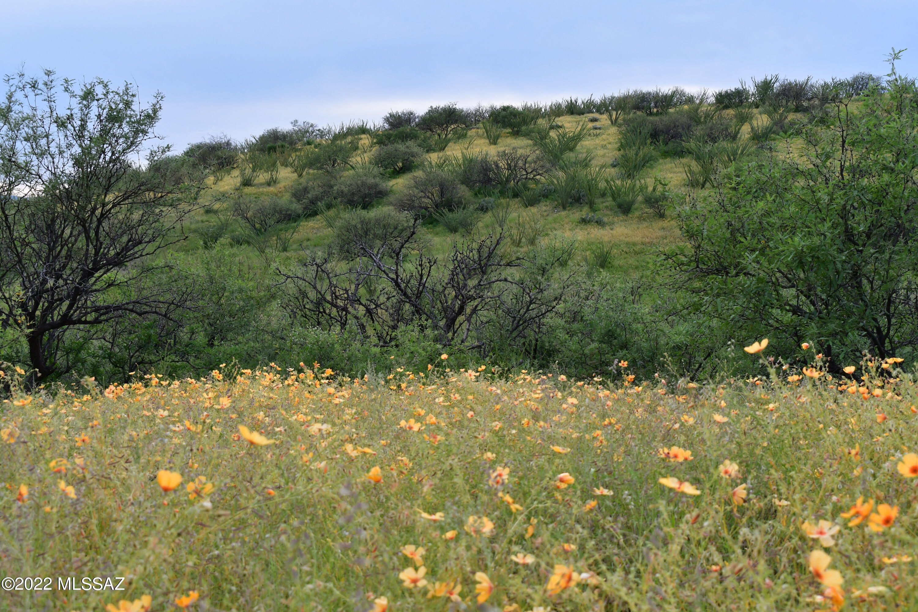 Salero Ranch - Land