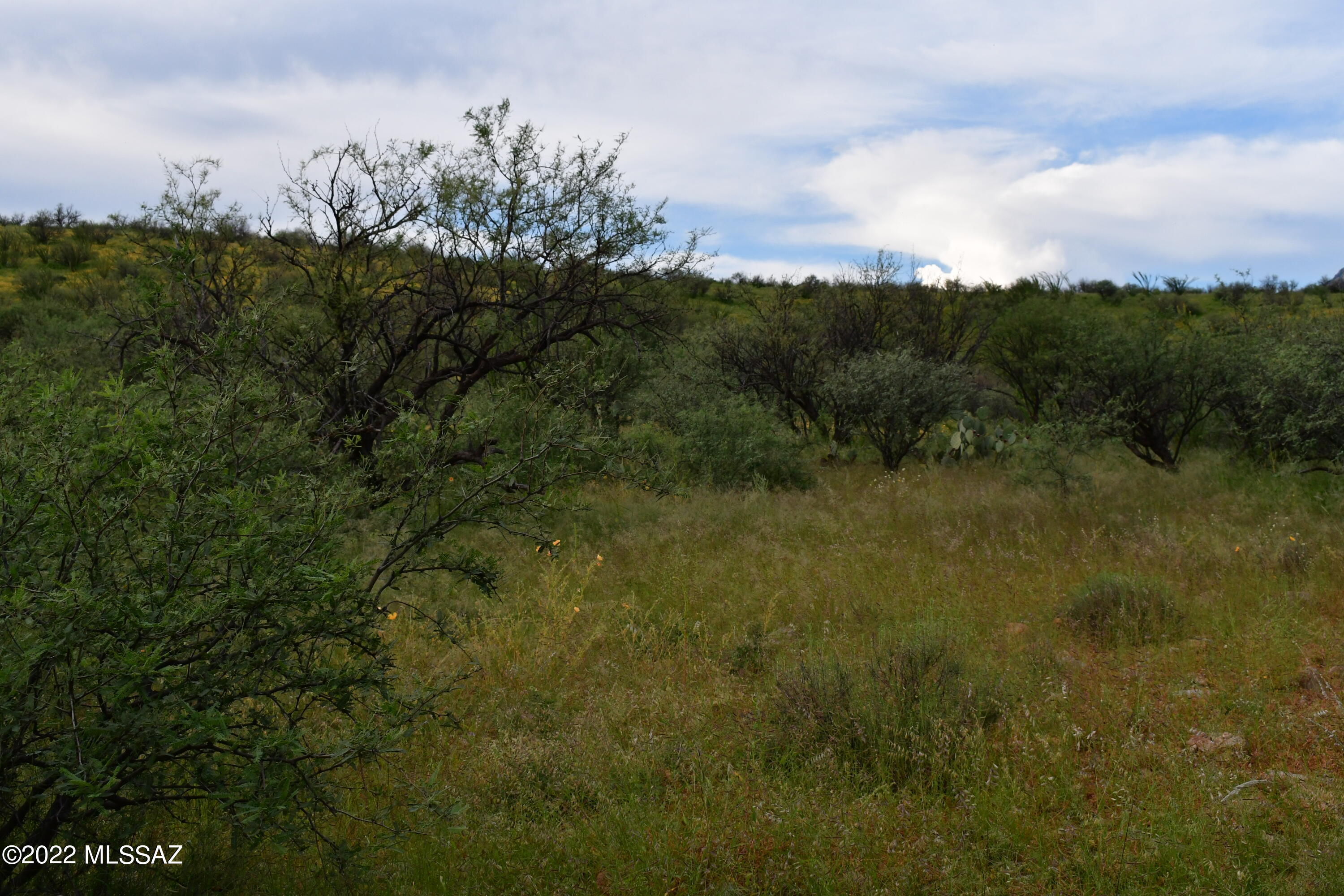 Salero Ranch - Land