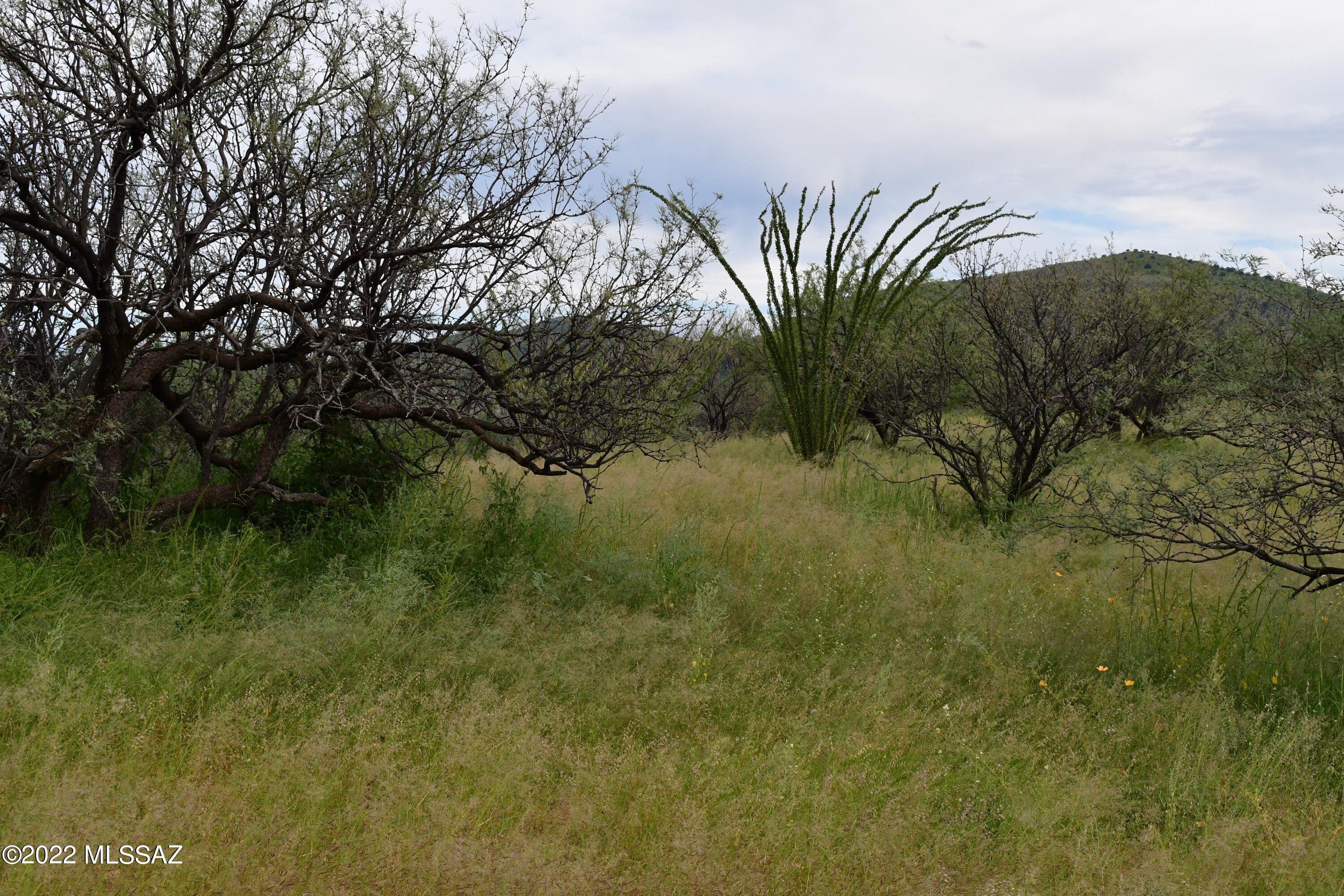 Salero Ranch - Land