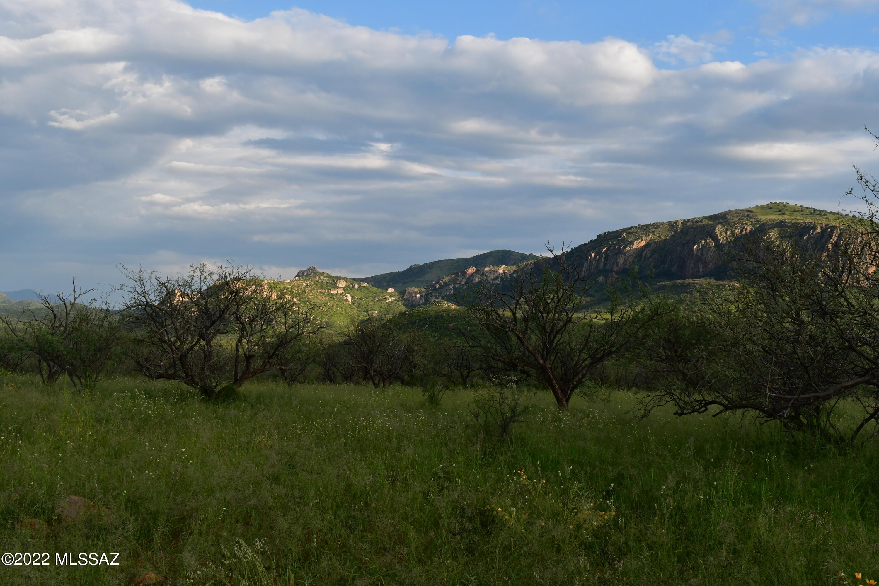 Salero Ranch - Land