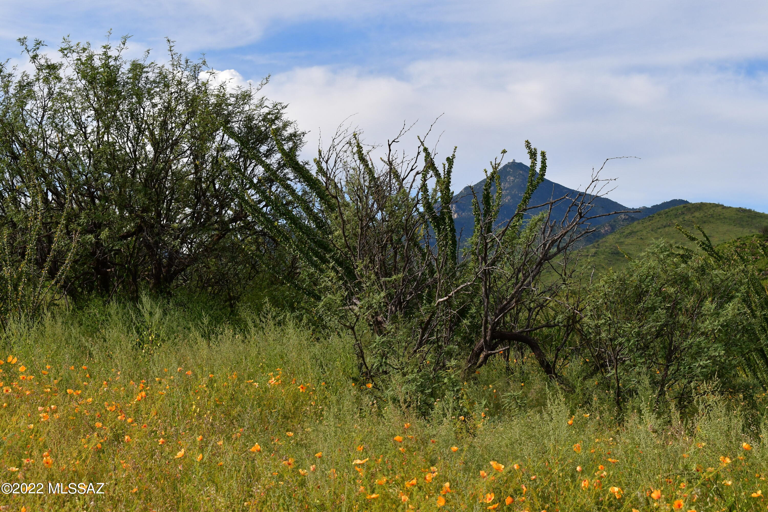 Salero Ranch - Land