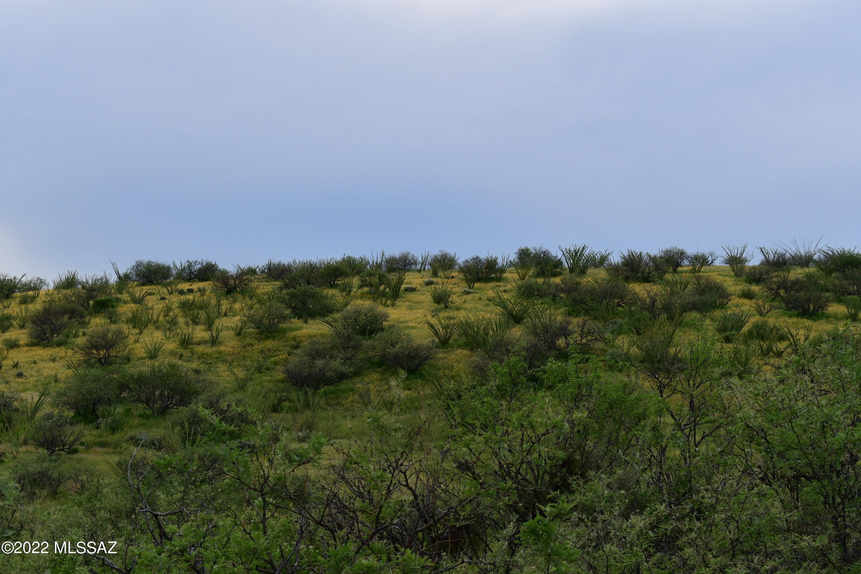Salero Ranch - Land