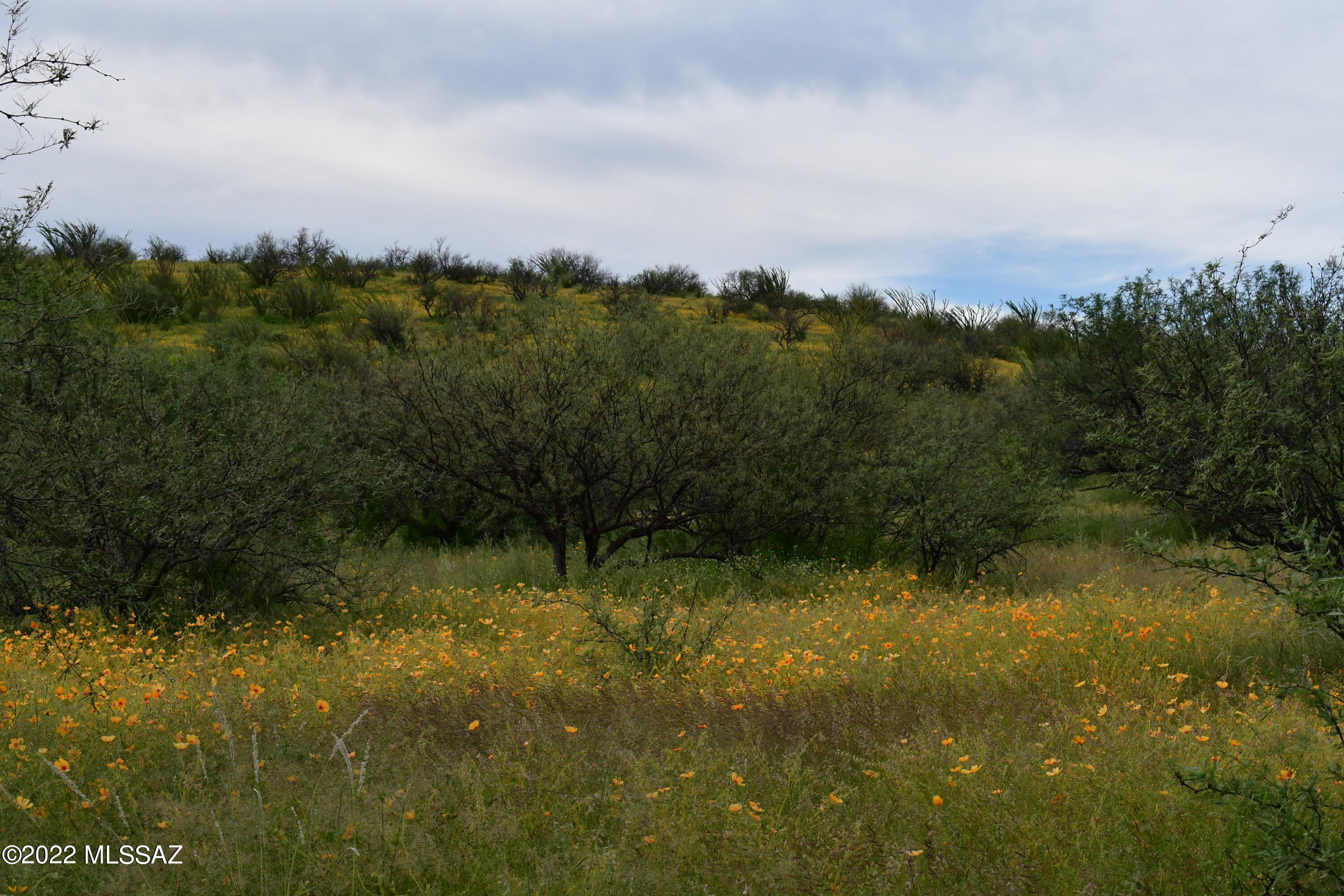 Salero Ranch - Land