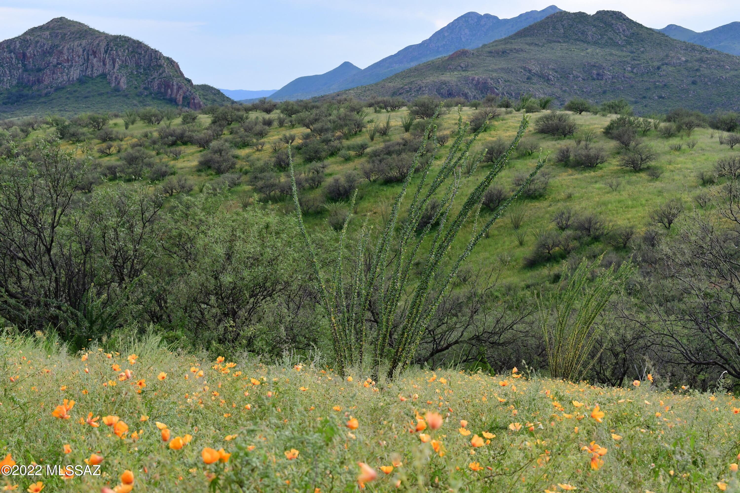 Salero Ranch - Land