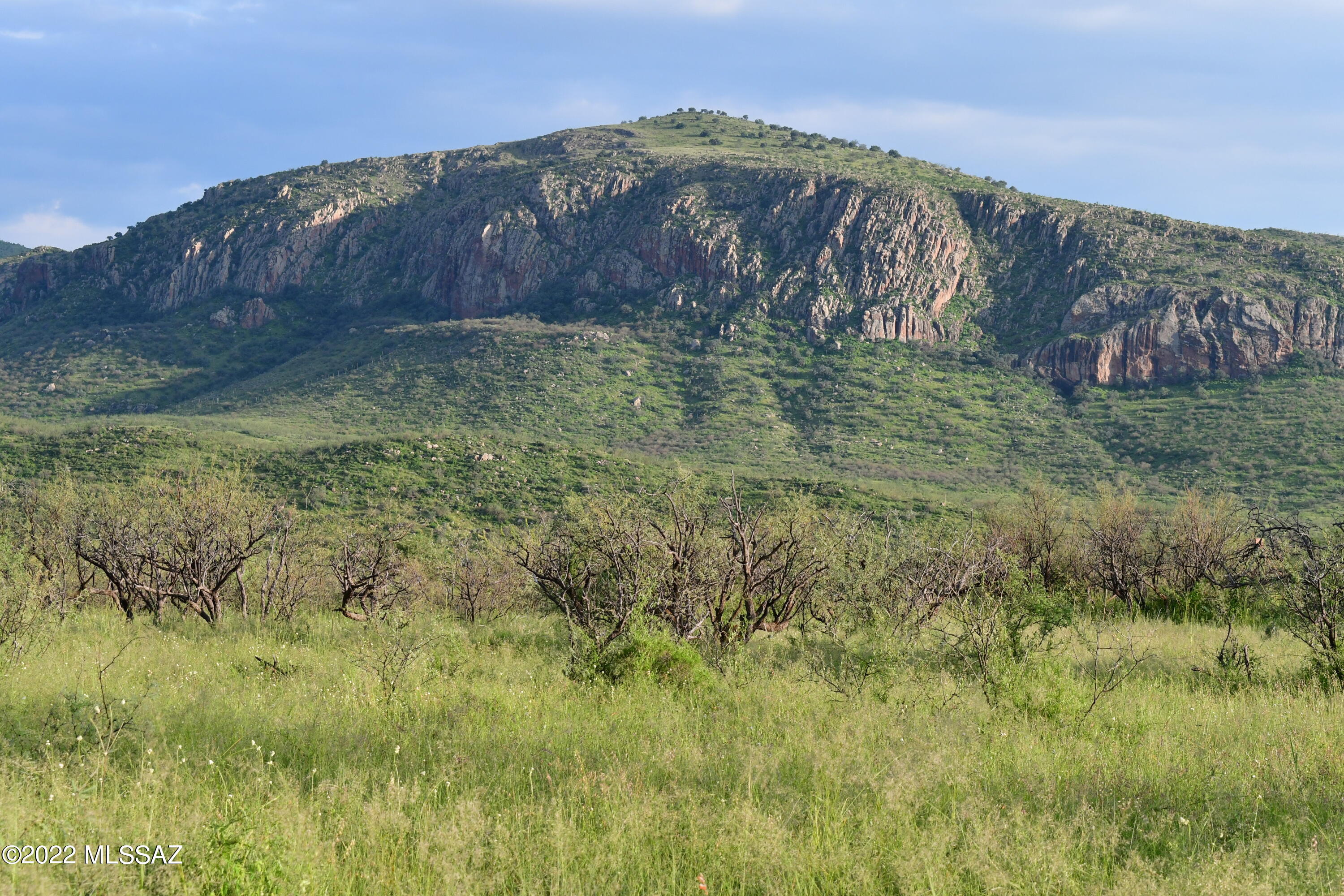 Salero Ranch - Land