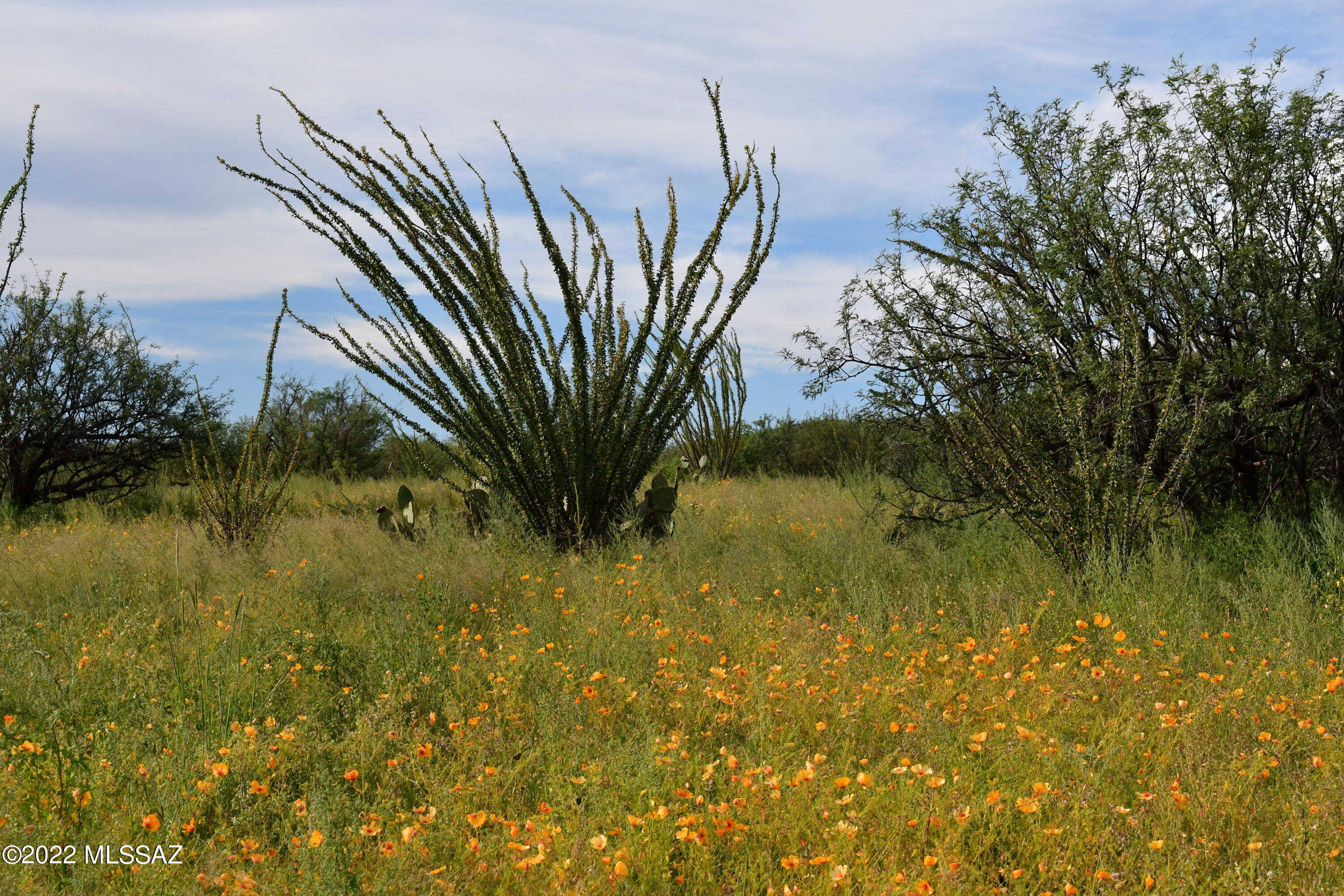 Salero Ranch - Land