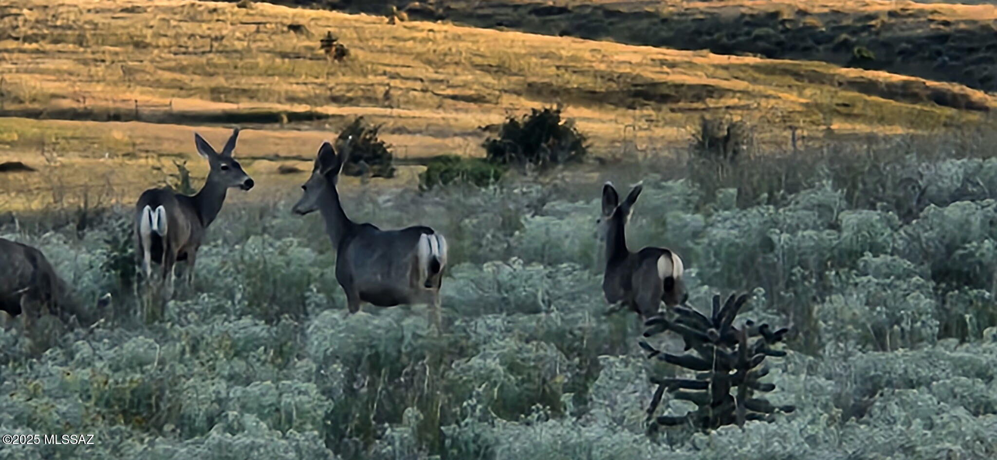 Sonoita Hills - Residential