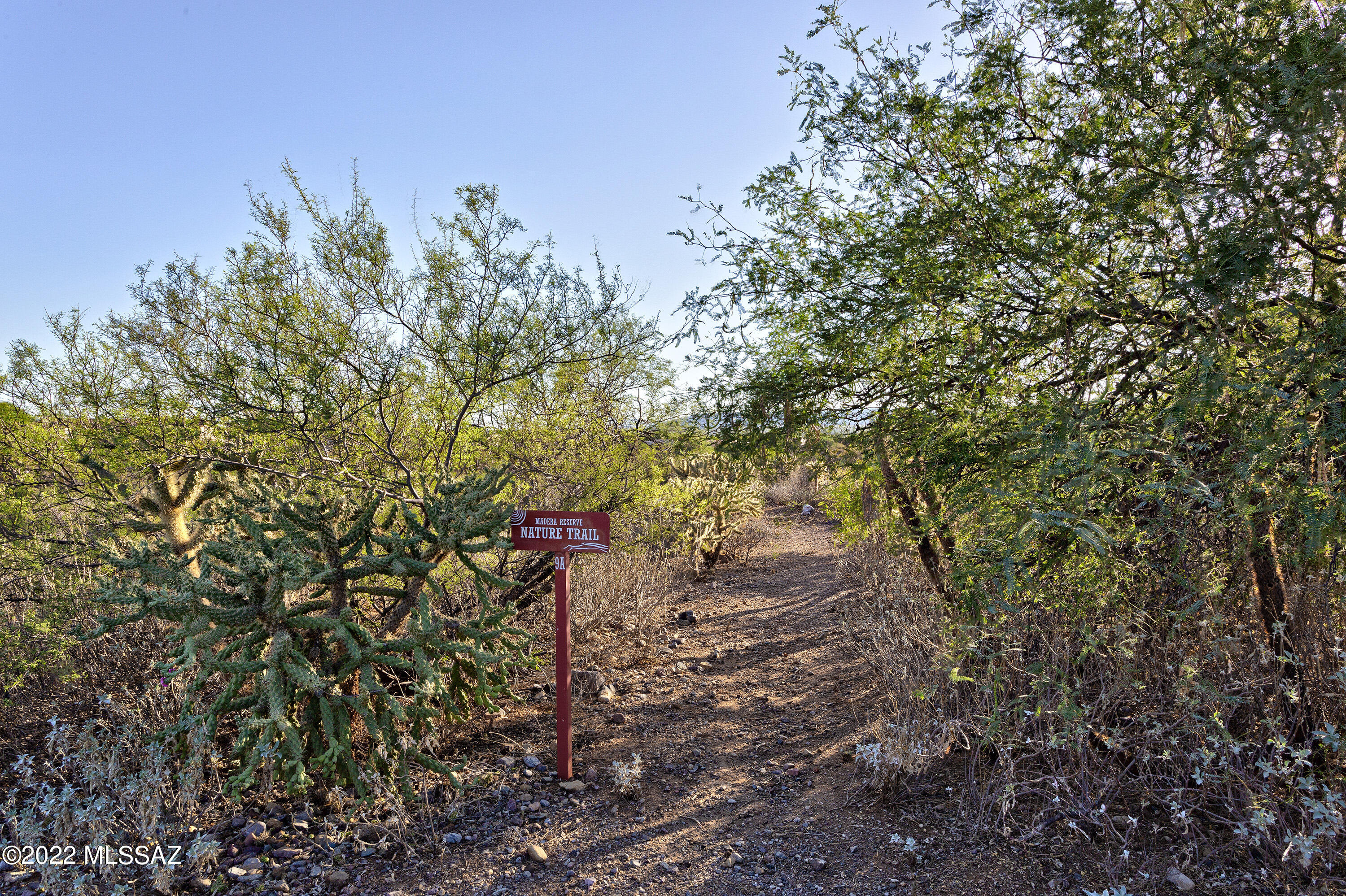 Madera Reserve Phase II (131-263) - Residential