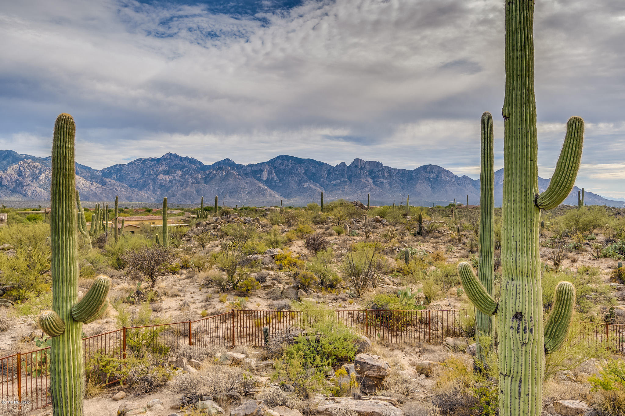 Honey Bee Ridge(The Estates At) - Residential