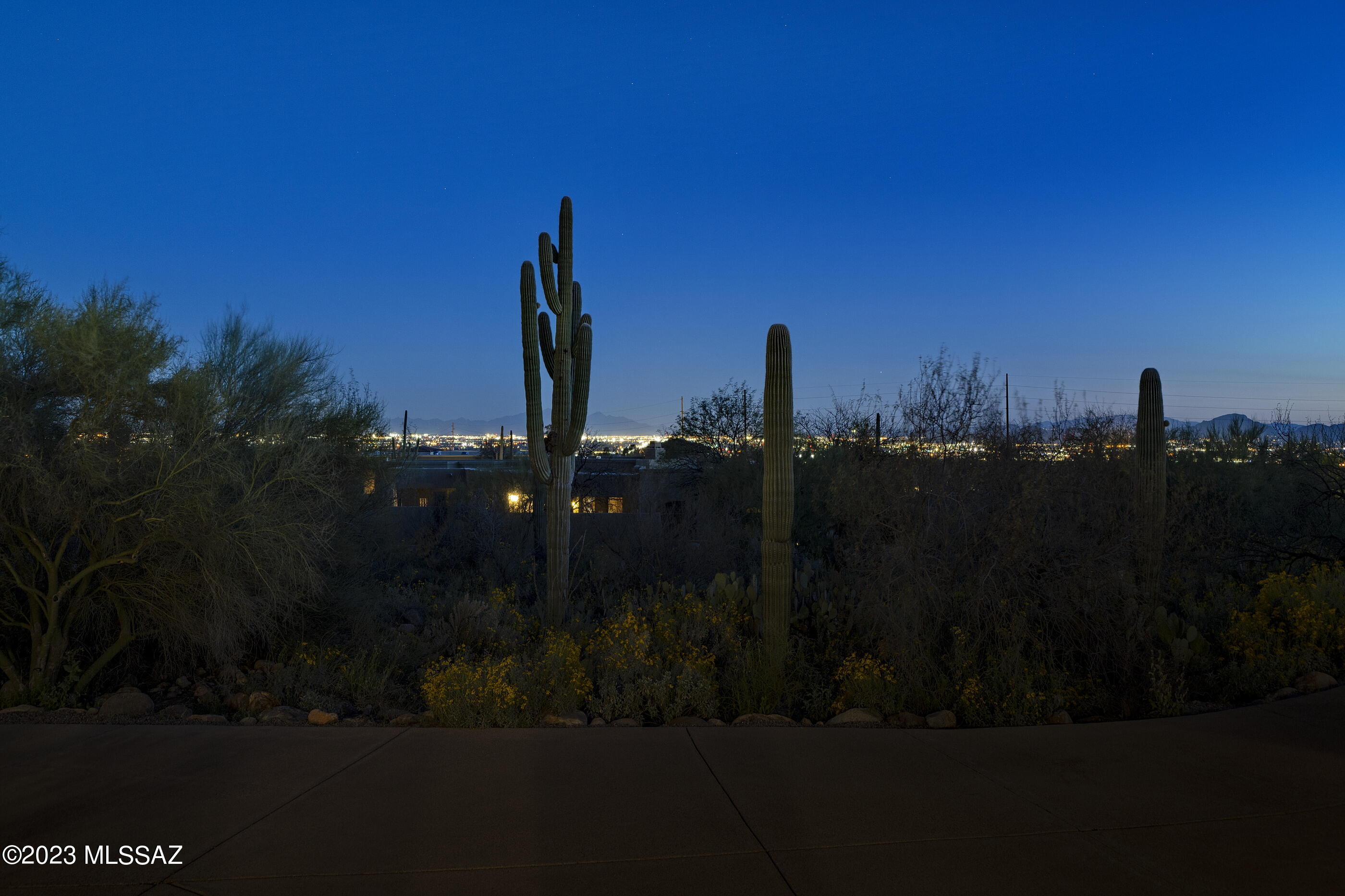 Pima Canyon Estates (309-323) - Residential
