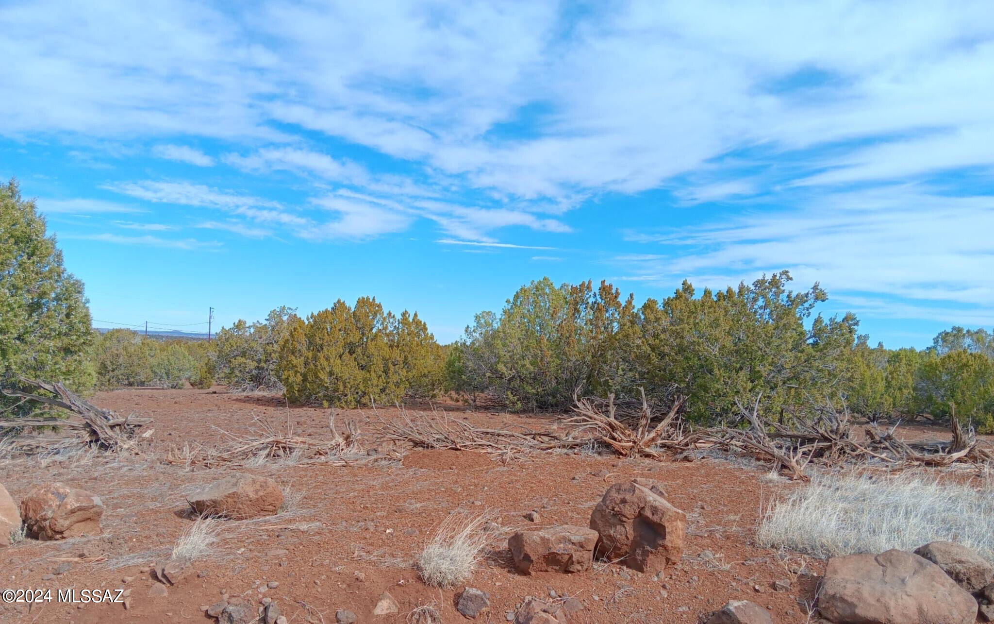 View Show Low, AZ 85901 land