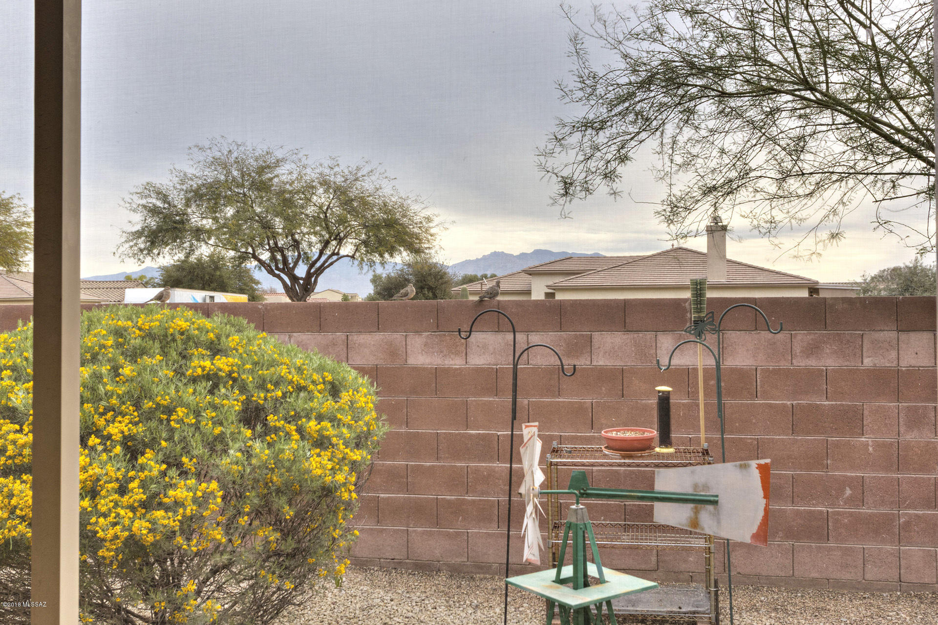 Continental Ranch Sunflower - Residential