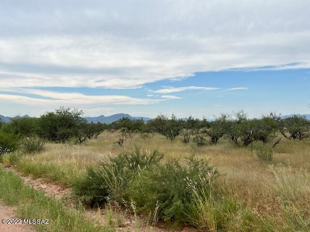 Tubac Foothills Ranch - Land