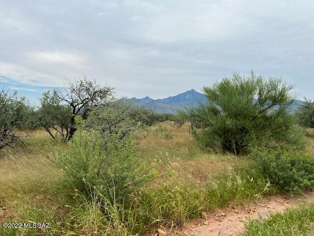 Tubac Foothills Ranch - Land
