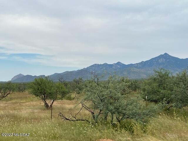 Tubac Foothills Ranch - Land