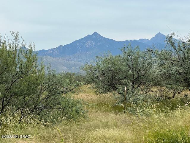 Tubac Foothills Ranch - Land