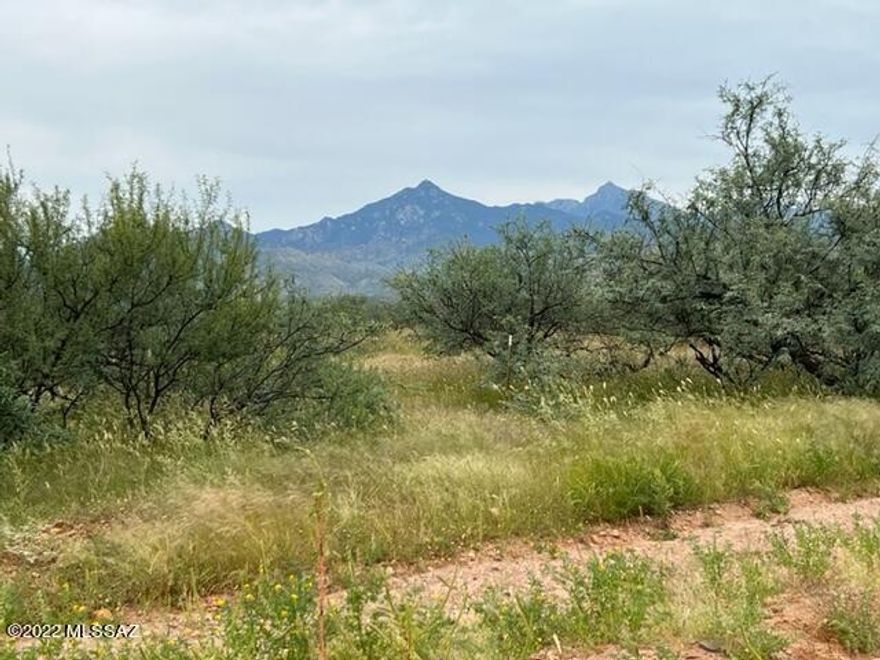 Beautiful acreage which you can build on now or later with the builder of your choice.  Currently zoned General Rural so taxes are low.  Septic & well will be necessary
