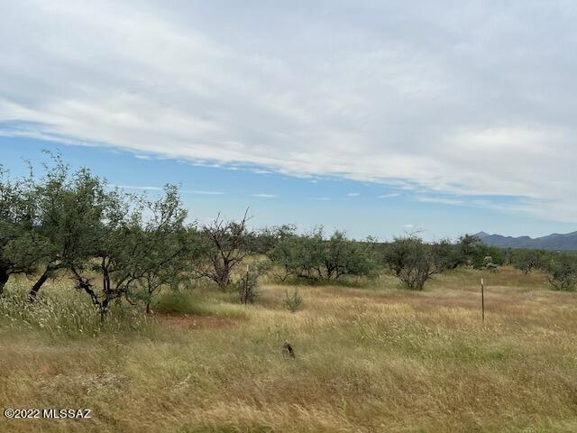Tubac Foothills Ranch - Land