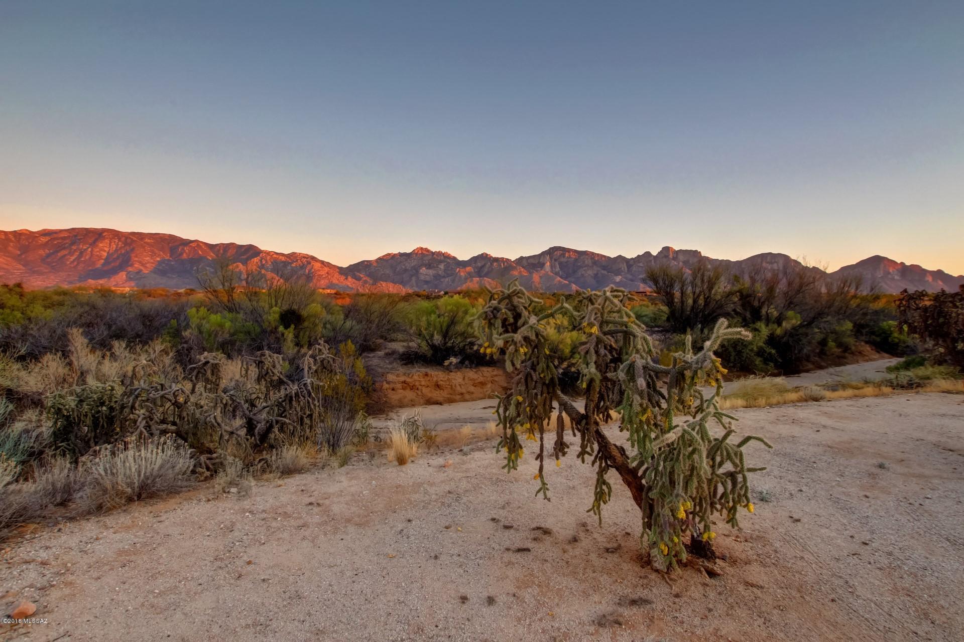 Sun City Vistoso Unit 12(1-277) - Residential