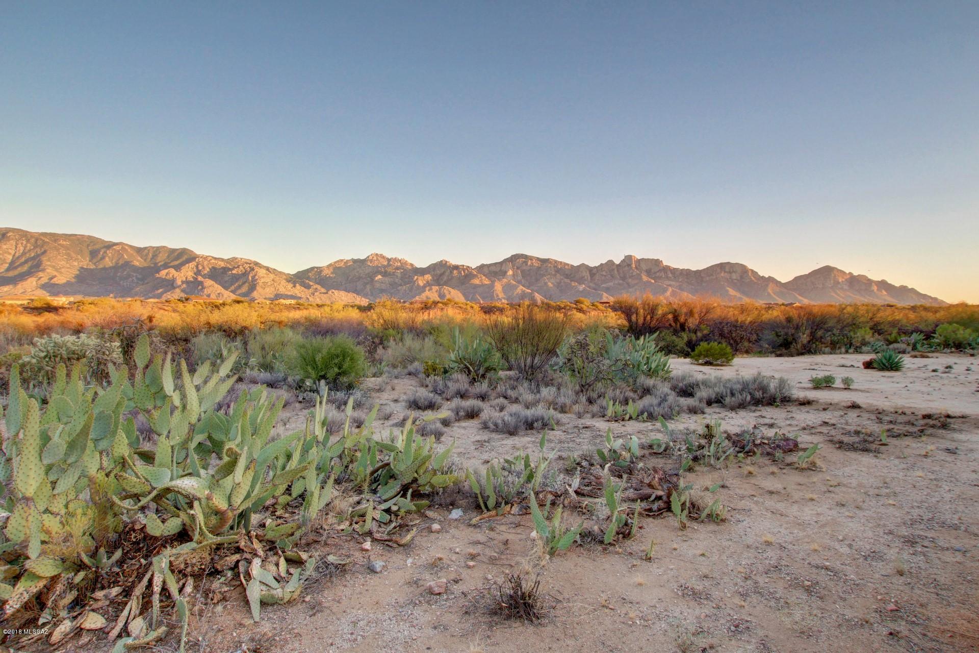 Sun City Vistoso Unit 12(1-277) - Residential