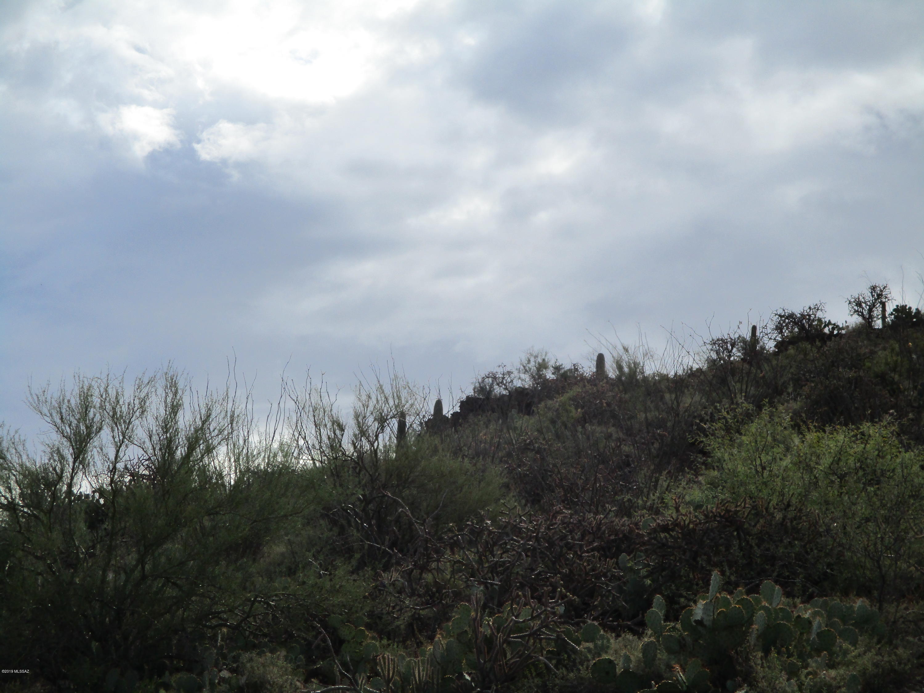 Other/Unknown - Land