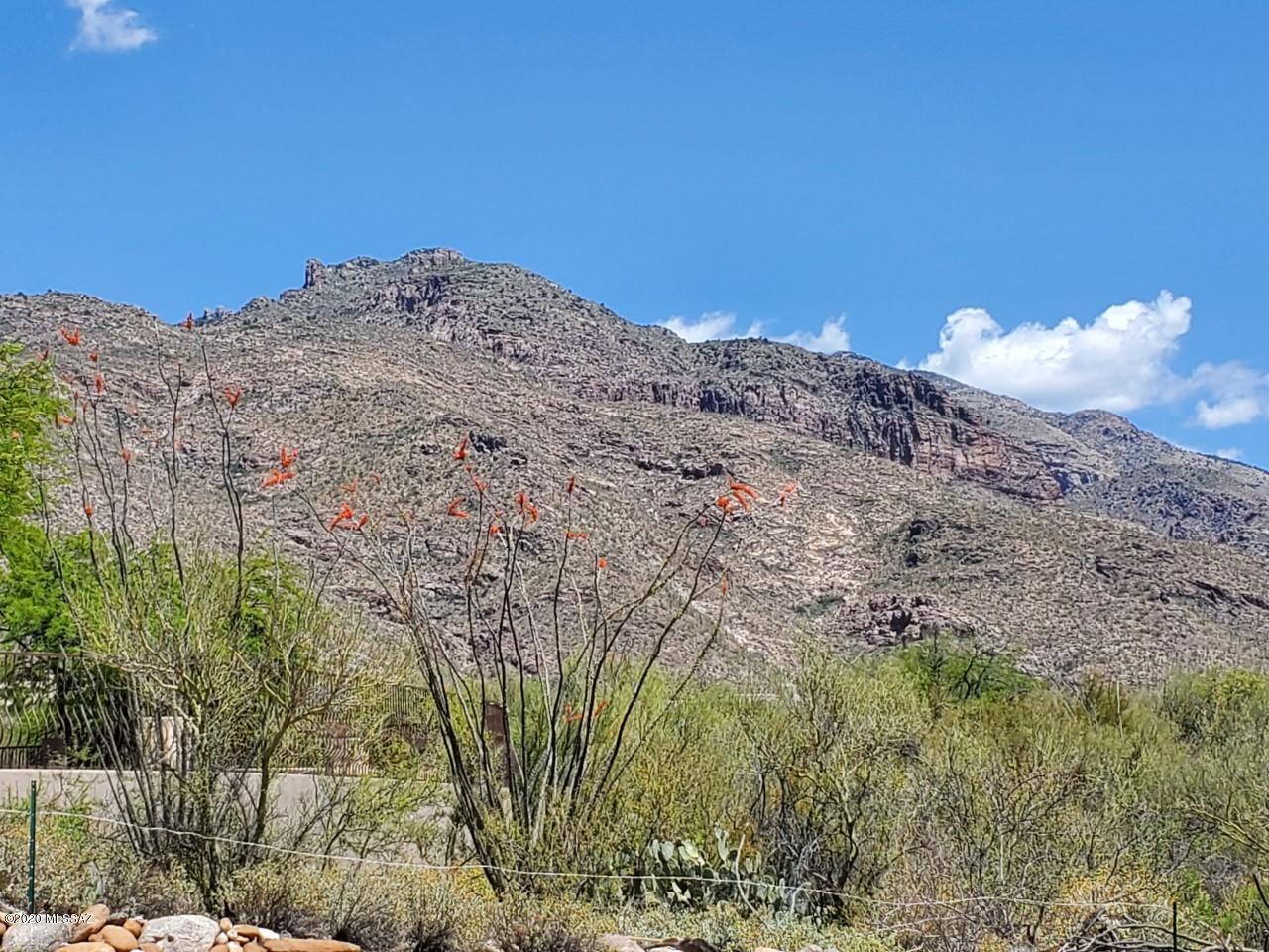 Pima Canyon Estates (1-176) - Residential