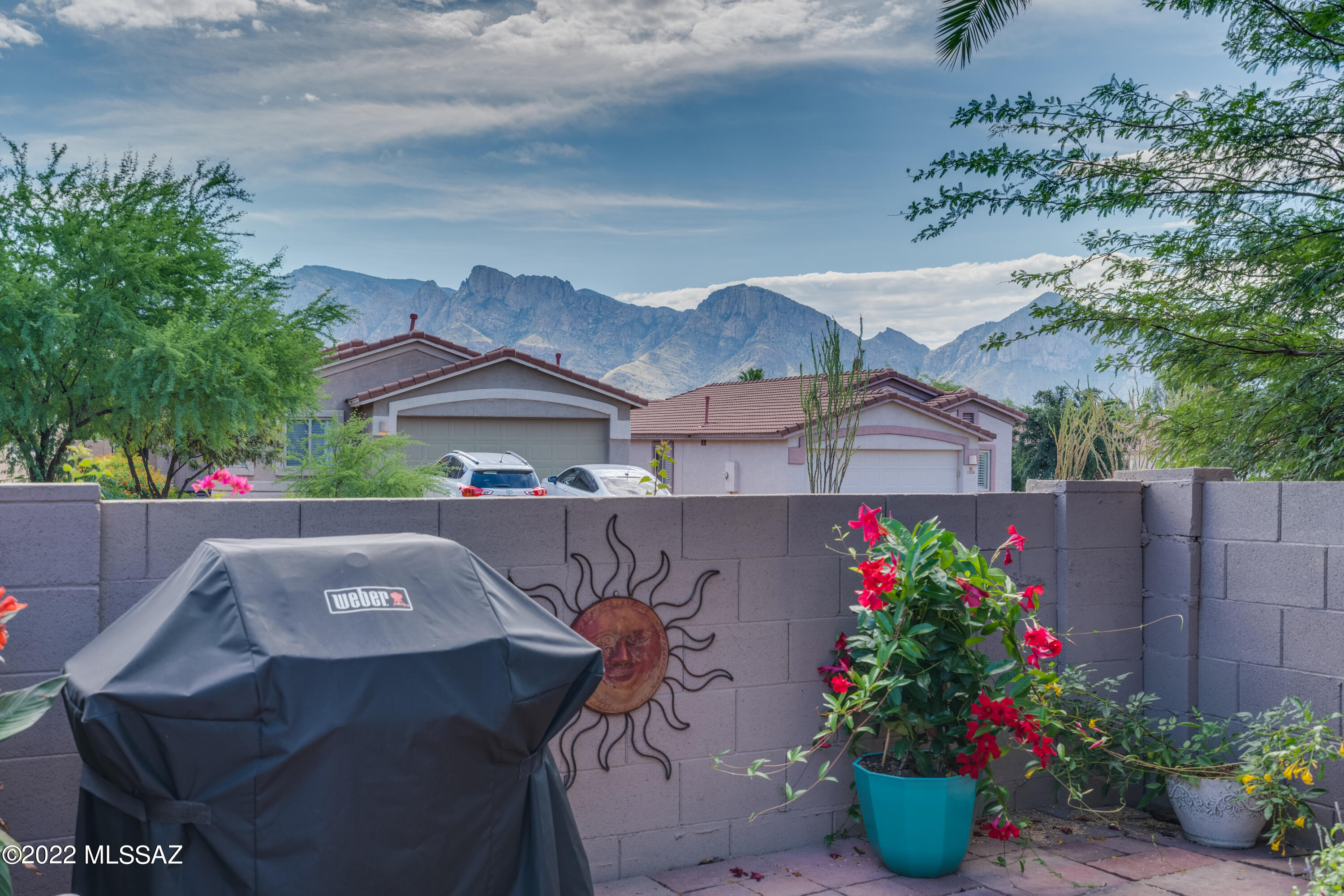Overlook At Rancho Vistoso (The) - Residential