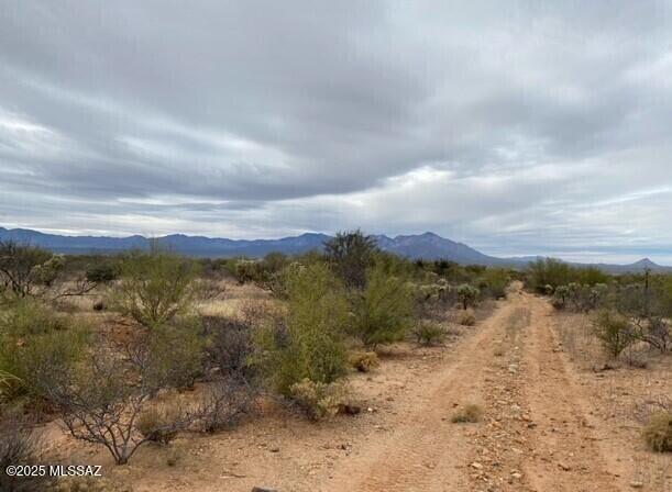 16252 W Pyle Road 106