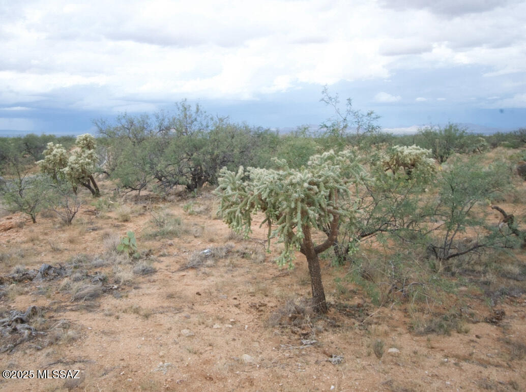 Diamond Bell Ranch - Tucson Unit 6 (1-435) - Land