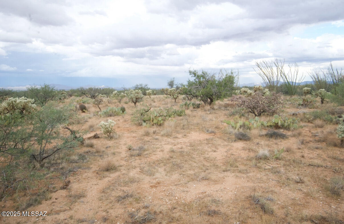 Diamond Bell Ranch - Tucson Unit 6 (1-435) - Land