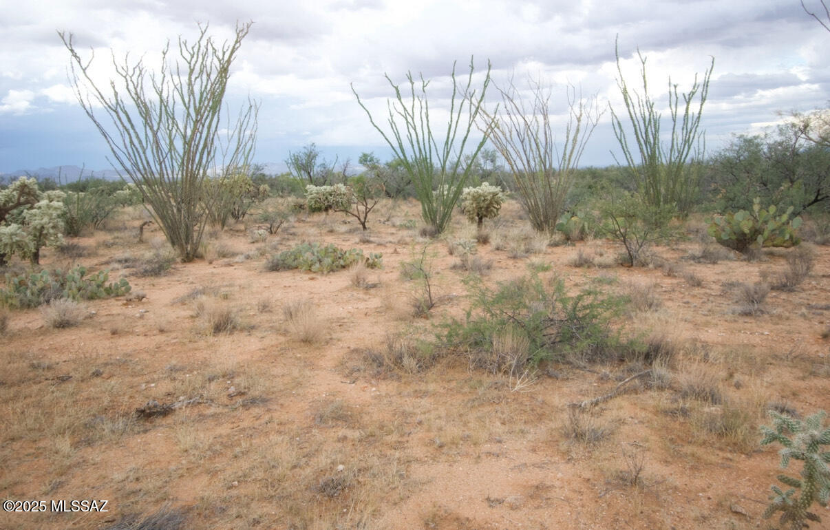Diamond Bell Ranch - Tucson Unit 6 (1-435) - Land