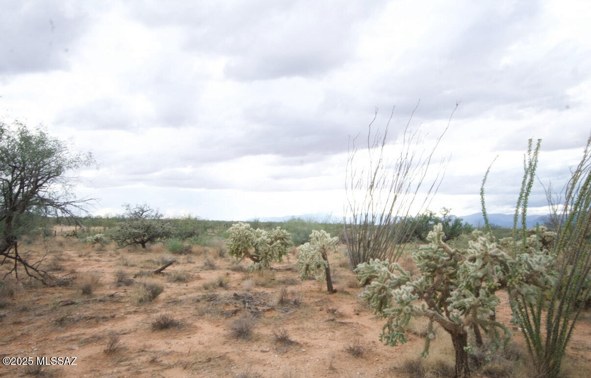 Diamond Bell Ranch - Tucson Unit 6 (1-435) - Land