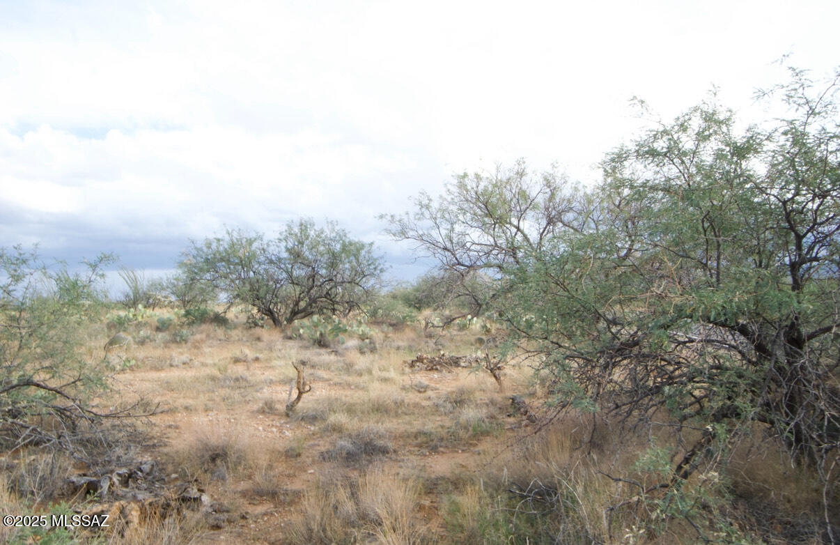 Diamond Bell Ranch - Tucson Unit 6 (1-435) - Land