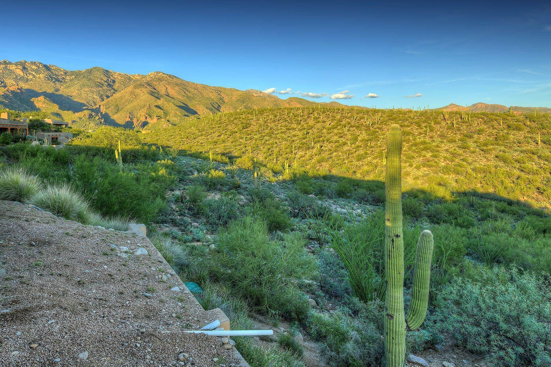 Alta Vista (99-145) - Residential