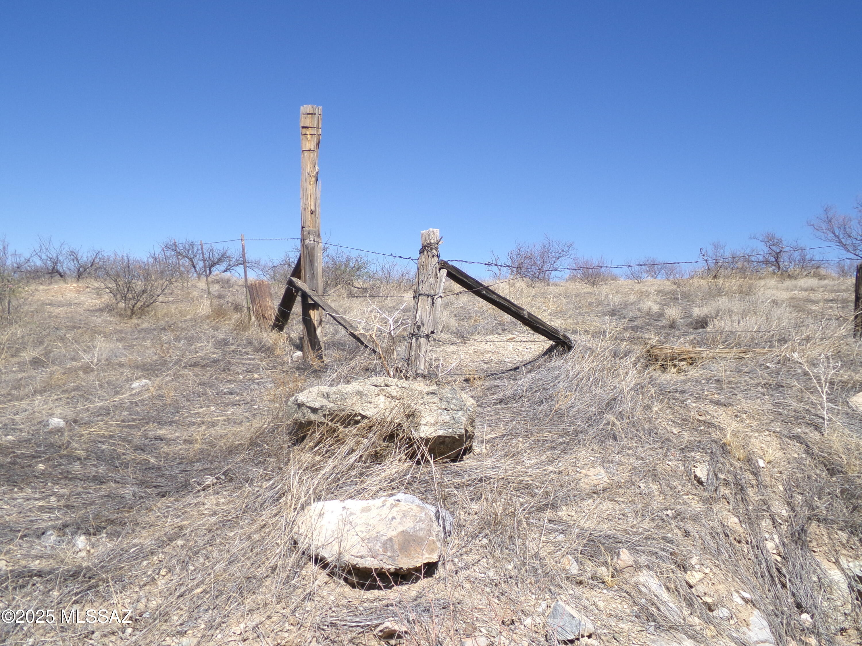 Chiracahua Trail Ranches - Land