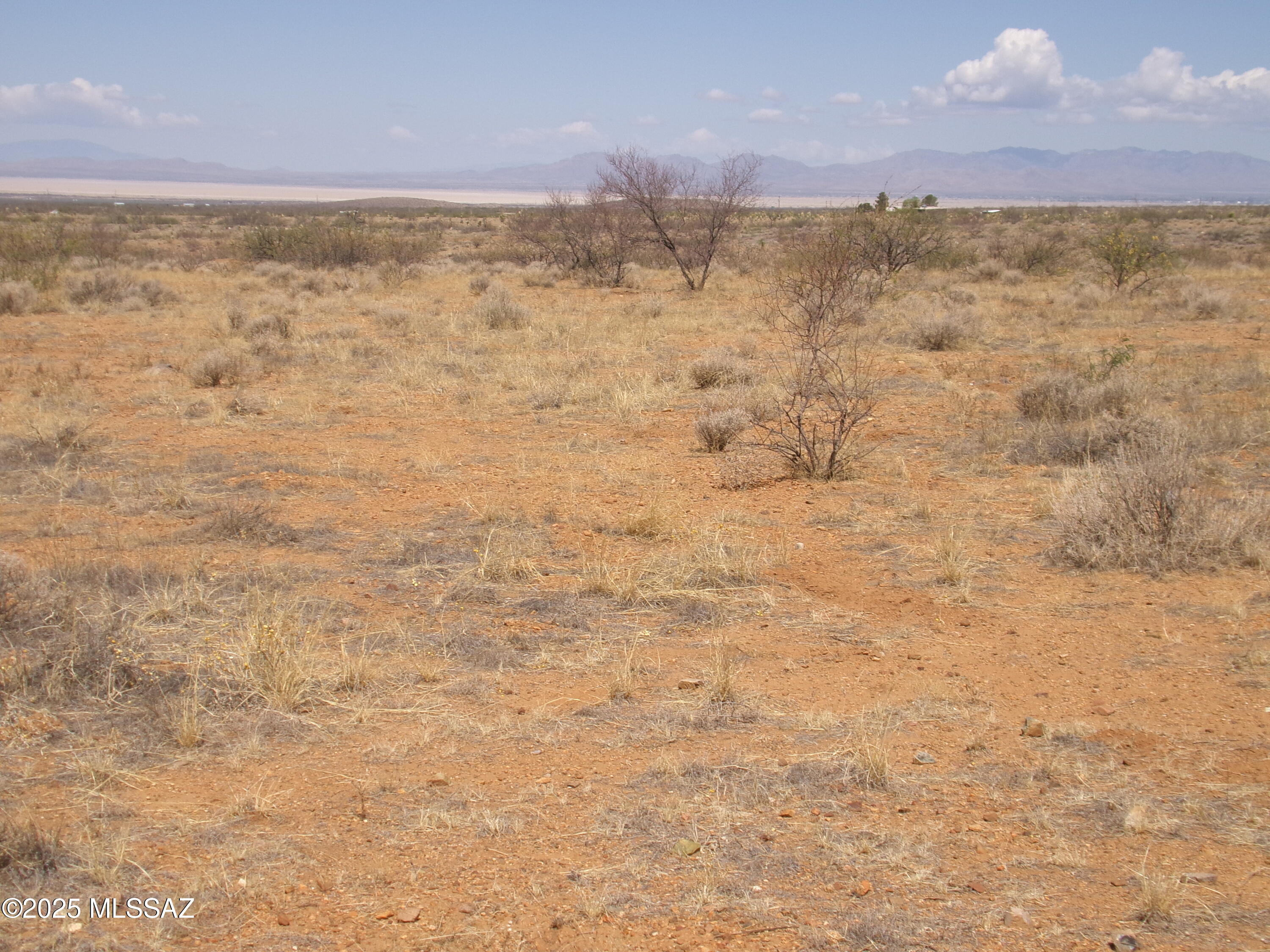 Chiracahua Trail Ranches - Land