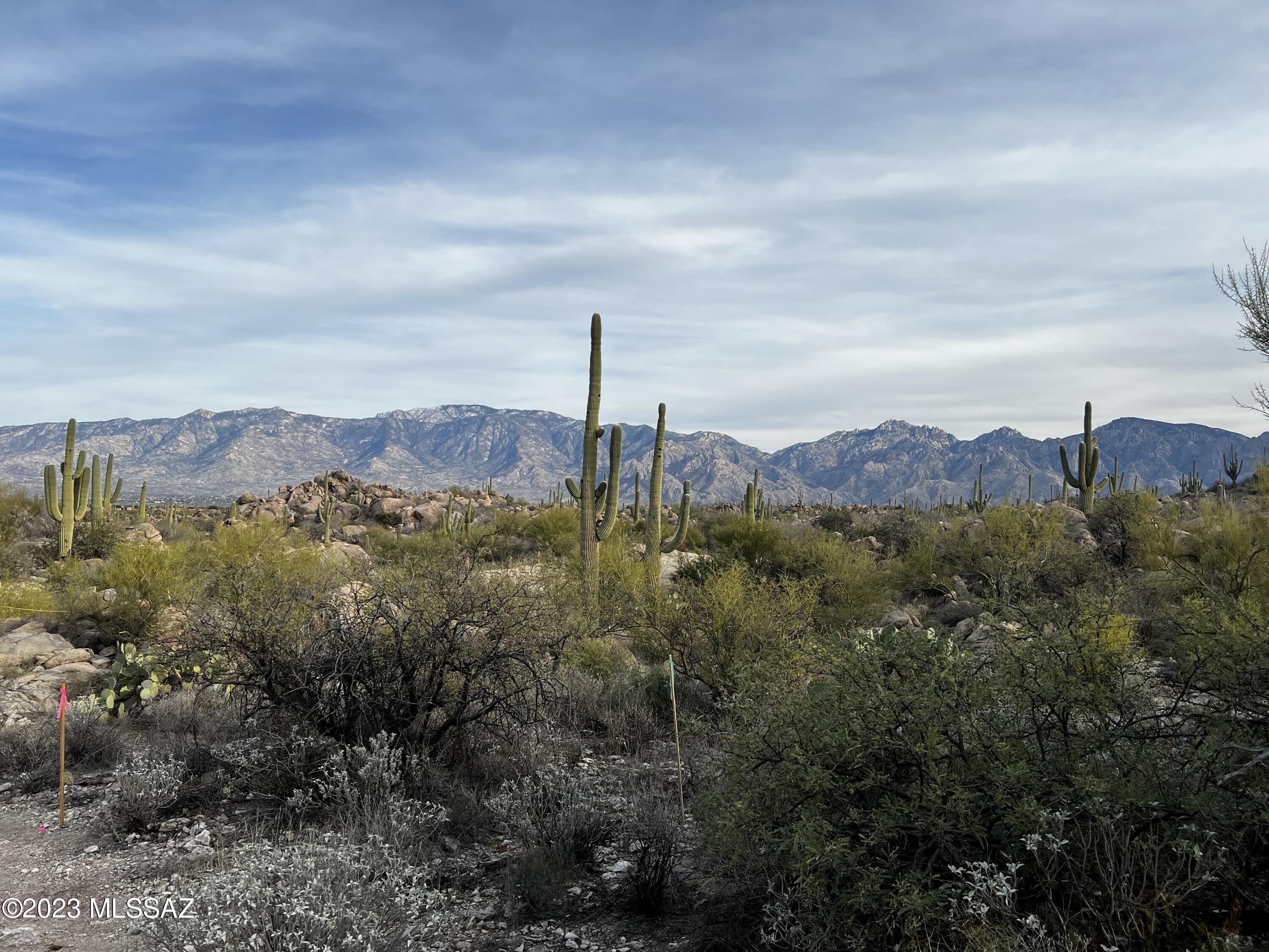 Stone Canyon VIII (486-602) - Residential