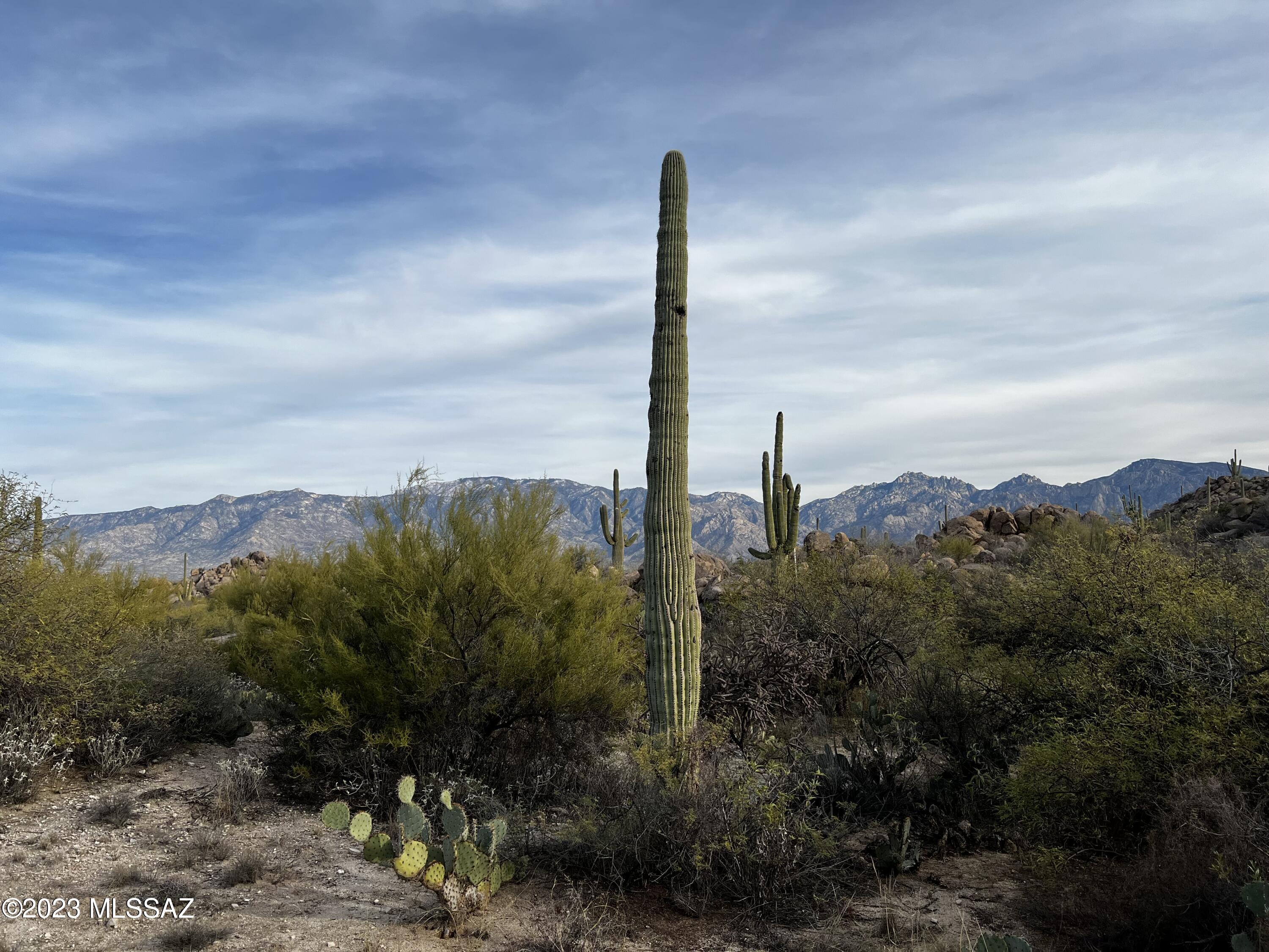 Stone Canyon VIII (486-602) - Residential