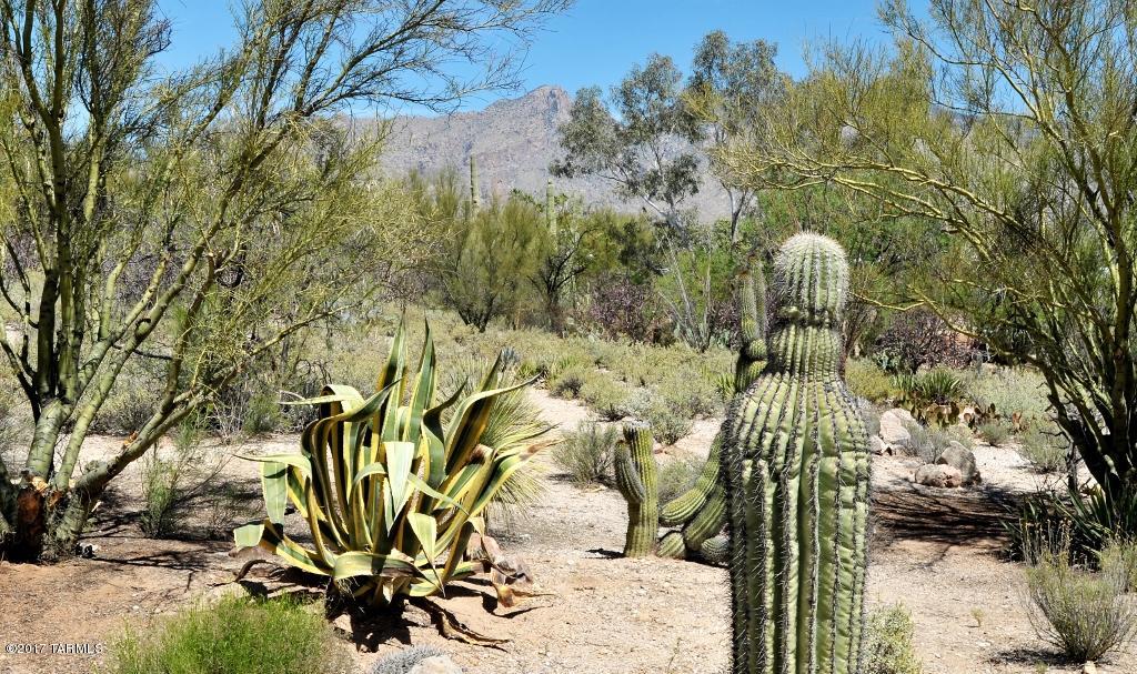 Catalina Foothills Estates NO. 3 - Residential