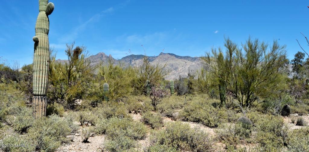 Catalina Foothills Estates NO. 3 - Residential