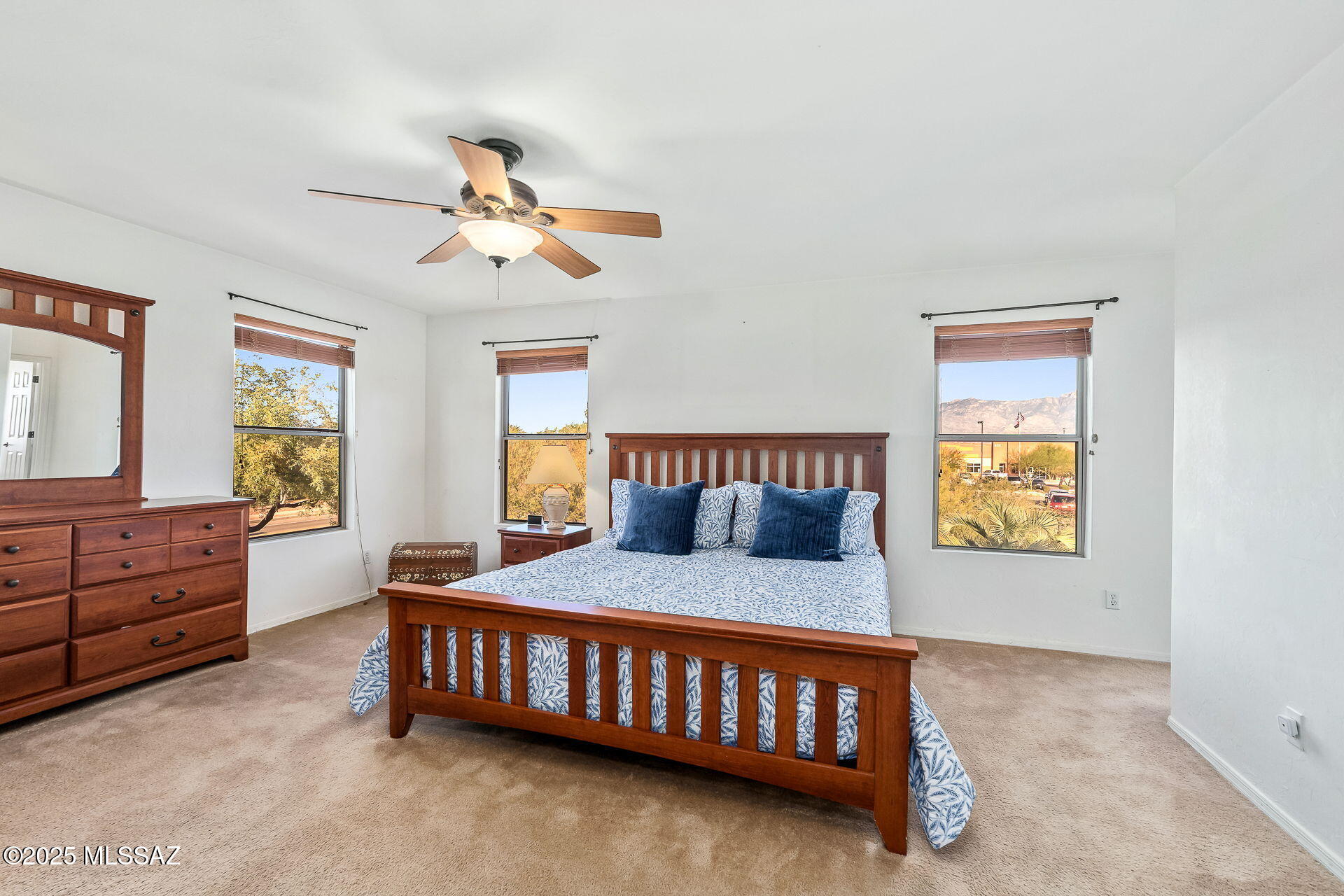 13076 N Desert Olive Drive