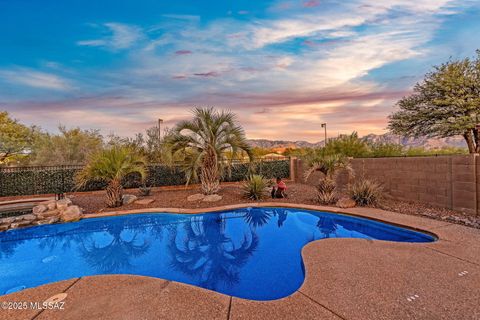 13076 N Desert Olive Drive Oro Valley AZ 85755